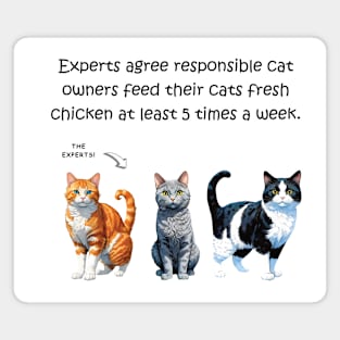 Experts agree responsible cat owners feed their cats fresh chicken at least 5 times a week - funny watercolour cat design Magnet